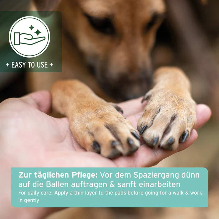 AniForte® Pfotenschutz Balsam – Natürlicher Rundumschutz für Hund & Katze