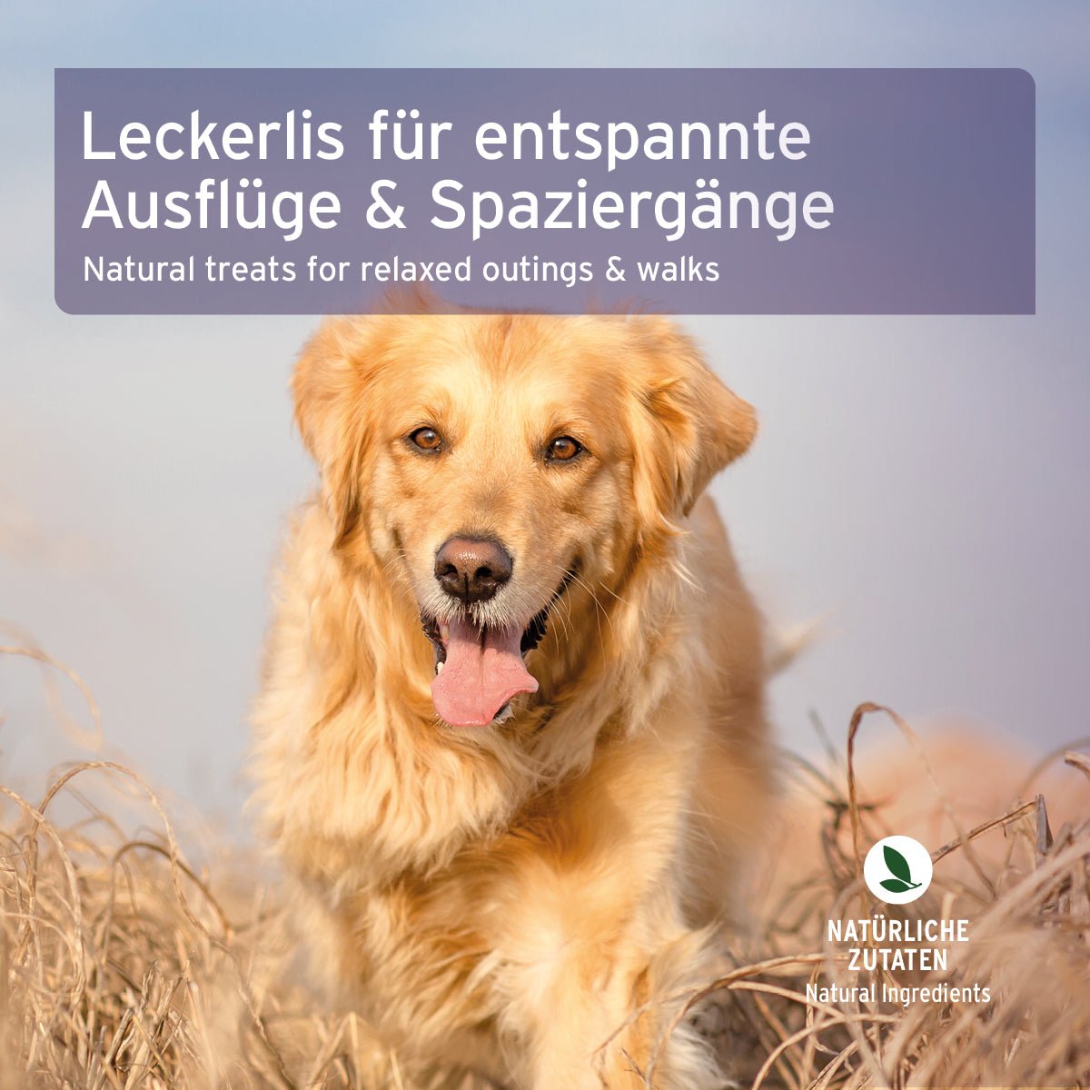 AniForte Relax Snack für Hunde – Natürliche Entspannung & Gelassenheit