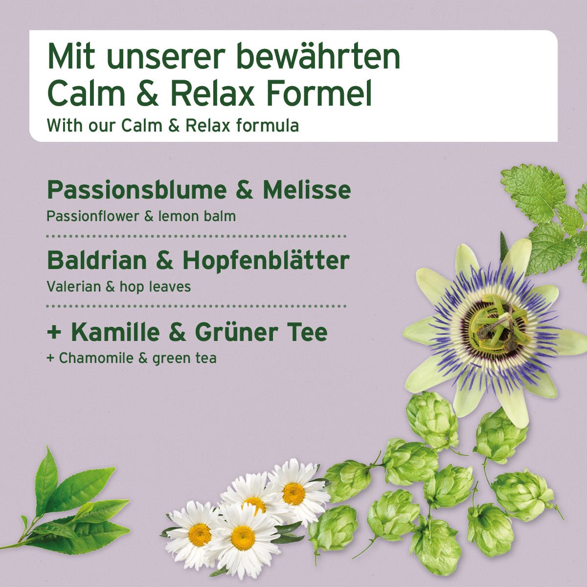 AniForte Relax Snack für Hunde – Natürliche Entspannung & Gelassenheit