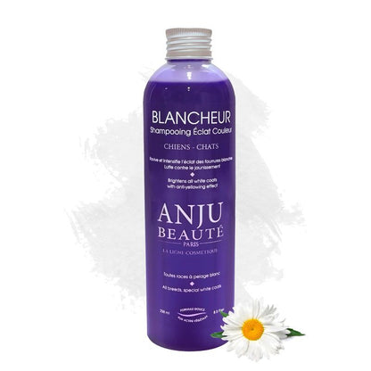 Anju Beauté Blancheur Shampoo - Weißshampoo für weißes und überwiegend weißes Fell
