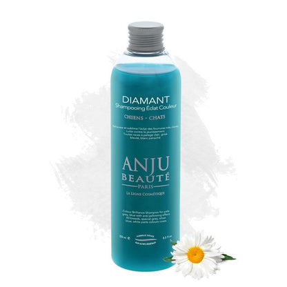 Anju Beauté Diamant  Shampoo - aufhellendes farbintensivierendes Shampoo gegen Gelbwerden