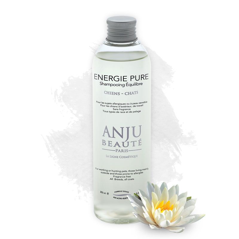 Anju Beauté Energie Pure Shampoo Allergieshampoo Pflegeshampoo Parfümfrei