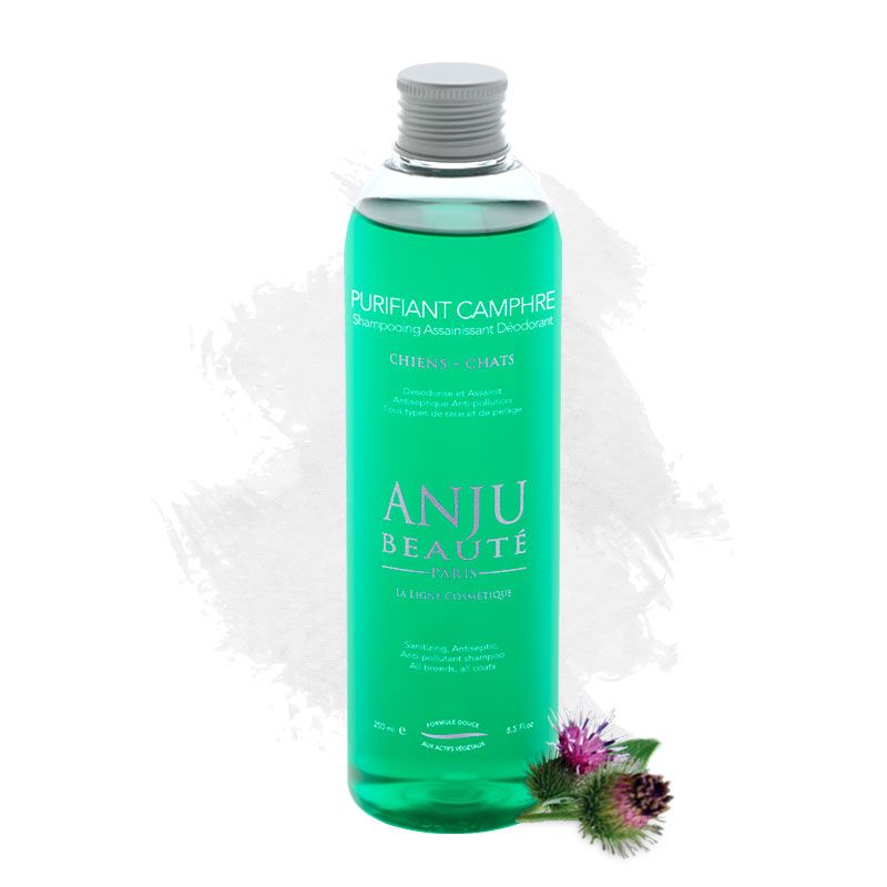Anju Beauté Purifiant Camphre Deo Hundeshampoo Katzenshampoo Pflegeshampoo