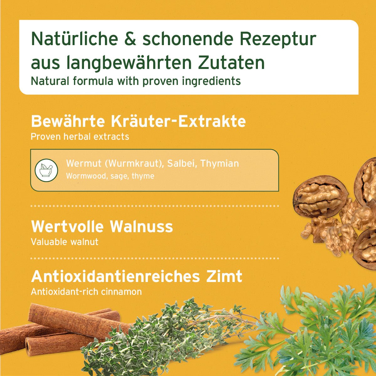 AniForte W-Liquid, Unterstützung für die Darmabwehr mit Wurmkraut Hunde, Katzen und Kleintiere, 50 ml