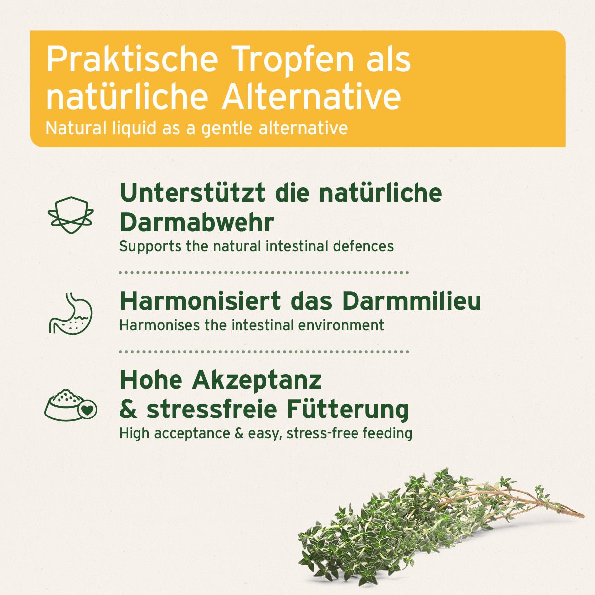 AniForte W-Liquid, Unterstützung für die Darmabwehr mit Wurmkraut Hunde, Katzen und Kleintiere, 50 ml
