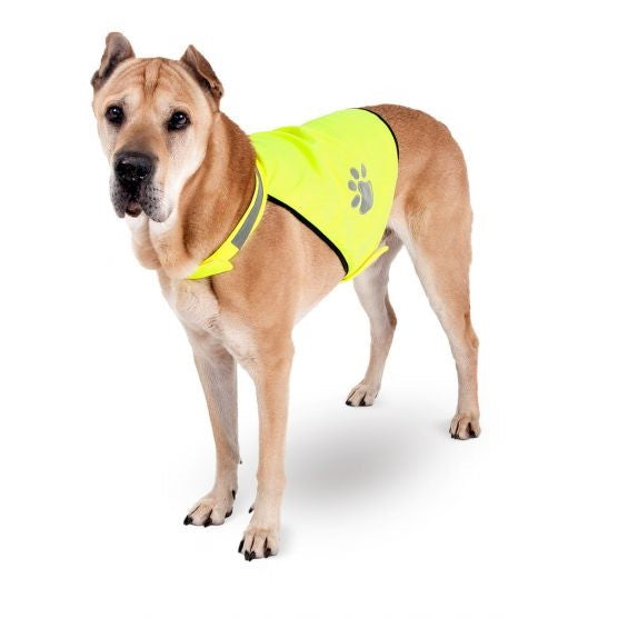 DONGKER Warnweste Hund, Verstellbar Neongelb Sicherheitsweste Hunde mit  Reflektierenden Elementen für mehr Sicherheit im Dunkeln