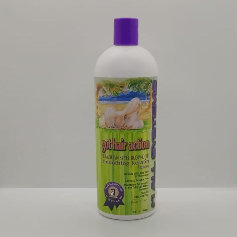 #1 All Systems got hair action Brazilian Style Blow-out Shampoo 946ml Fellpflege