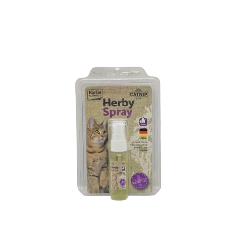 Catnip Spray Katzenminze Spray 30ml Kräuterspray Spielspray Katzen Katzenspielzeug