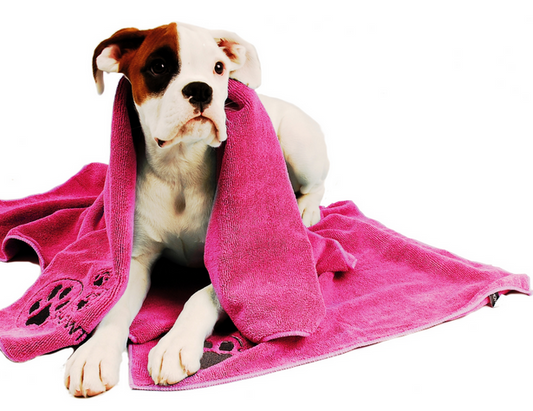 Show Tech+ Microfibre Towel, Mikrofaserhandtuch für alle Haustiere, Hundehandtuch Katzenhandtuch, 56x90 cm
