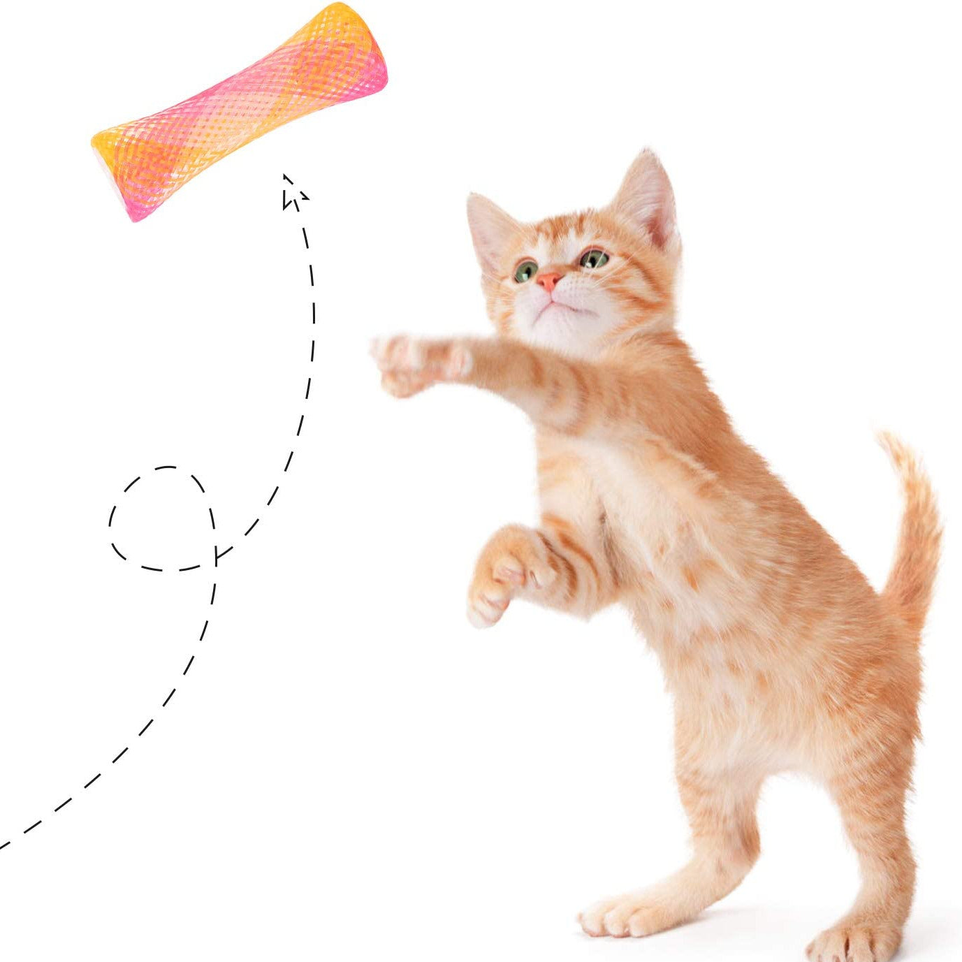 Kitty Boinks - Spiel Spaß und Bewegung für Ihre Katze im 2-er Pack