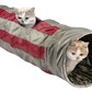 Rascheltunnel In-Outdoor Feline Cruiser mit Catnip Katzentunnel Spielzeug